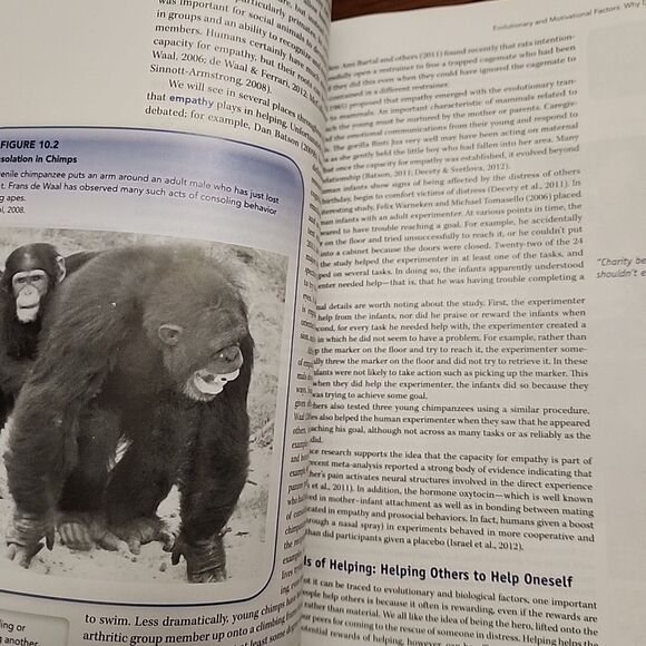 Social Psychology, Saul Kassin, Steven Fein, Hazel Rose Markus, Acceptable Book - Picture 3 of 6